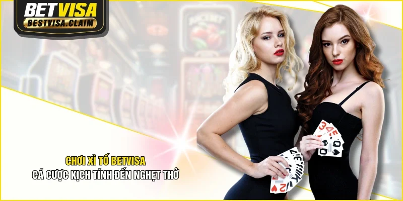 Chơi Xì Tố BETVISA - Cá Cược Kịch Tính Đến Nghẹt Thở